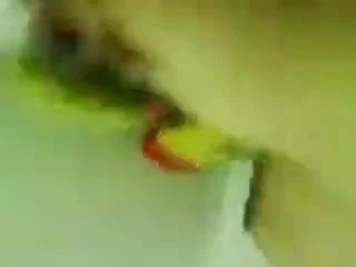 Jandaku sangap