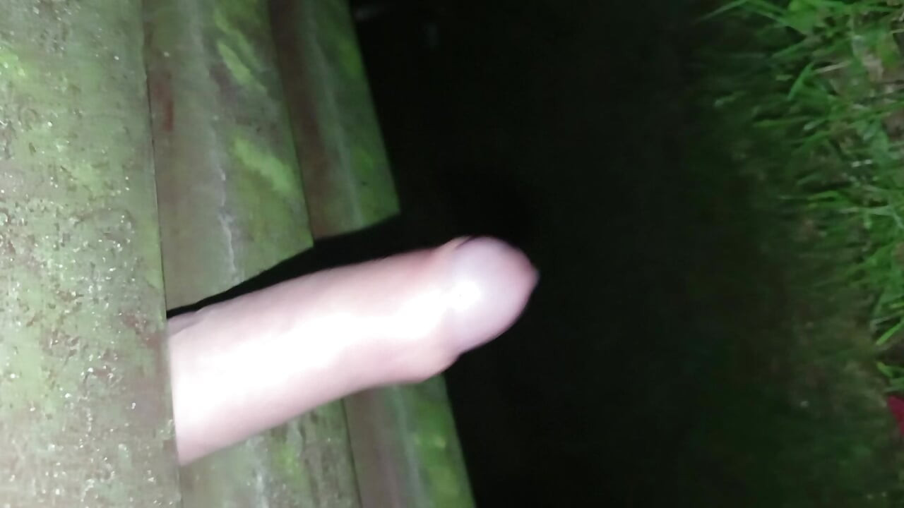 fucking the bank in the Park at night