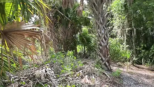 Видео на весь день