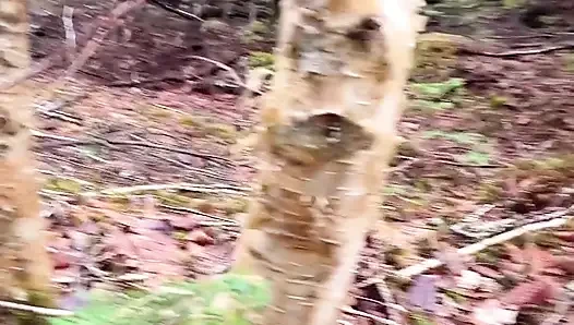 Muschi Pisst Wasser Auf Den Felsen