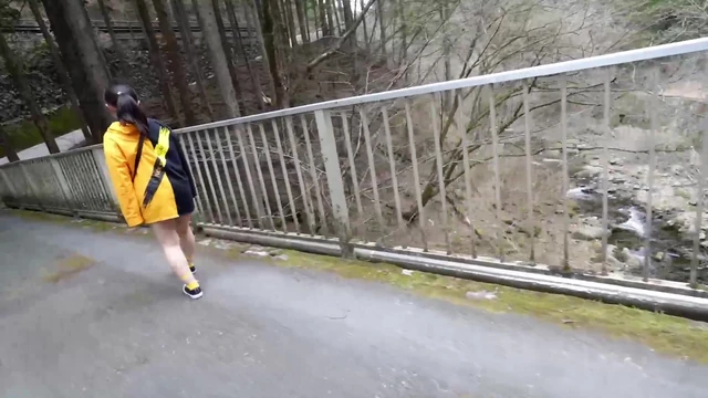 My cousin was brought by me for a drive to the mountains without telling anyone.