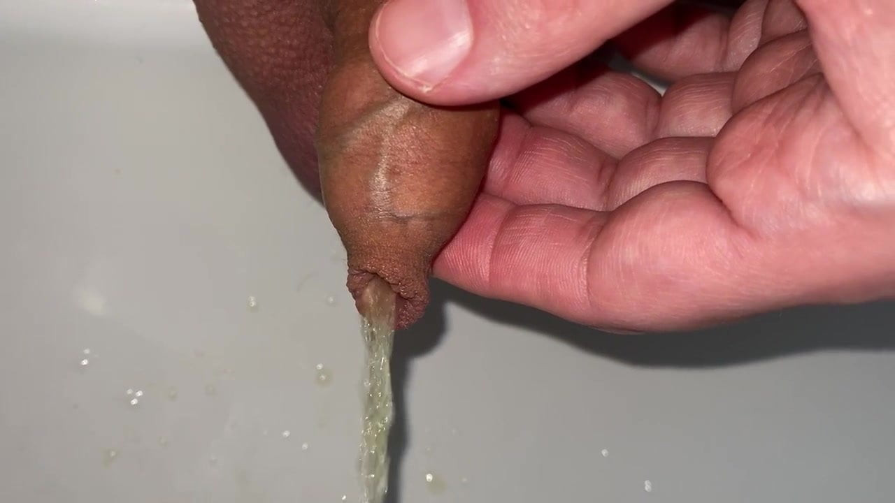 small foreskin cock pisses