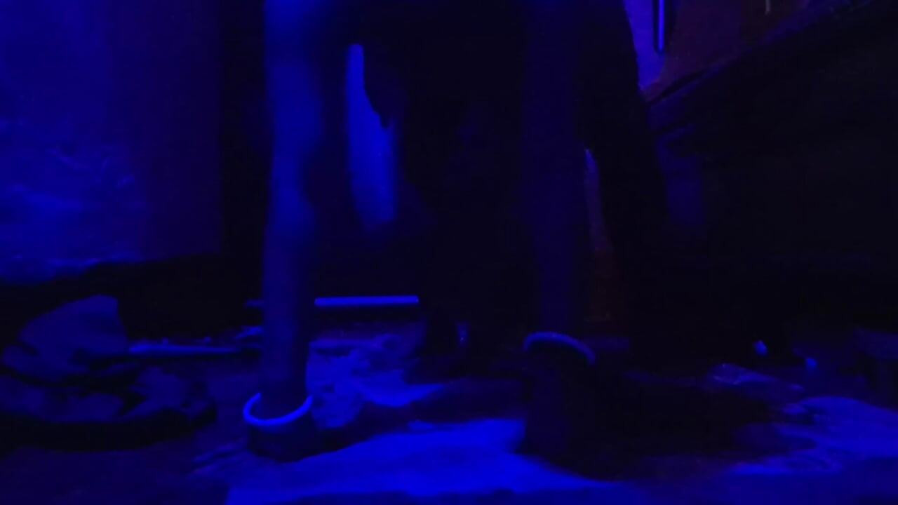 Stepsister Made a Whore and Left Her Dirty Street Sex Video