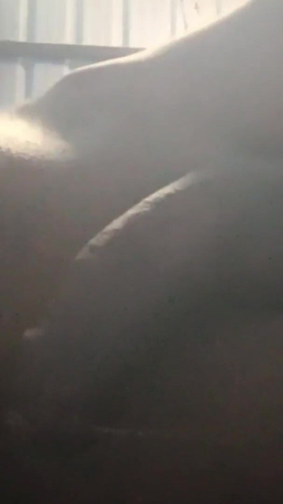 Murthal boy top bada land | Clip 1