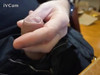 Pregled videozapisa