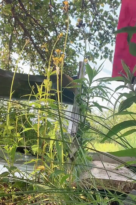 Setetes air seksi