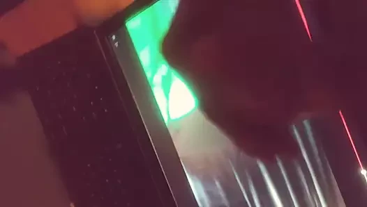 Fıstığım odanın karşısına uçtu