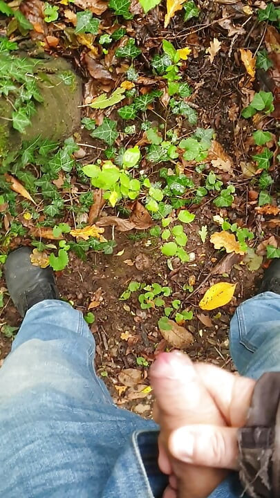 Wixxing in the forest