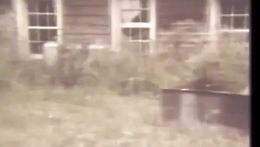 Seks kultus dari masa lalu vol.17