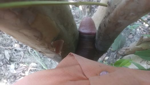 Bachelor's cock from tree Hindi sex video Uttar Pradesh