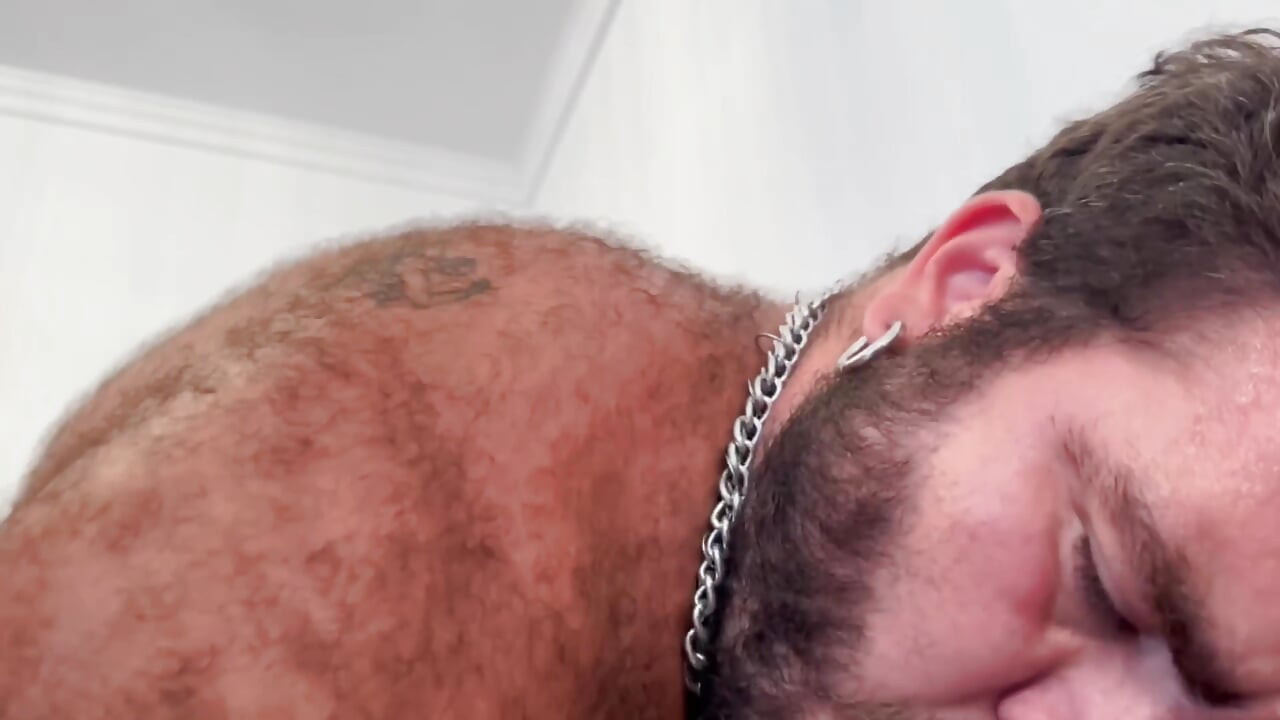 Medvědi bez sedla orgie 4K