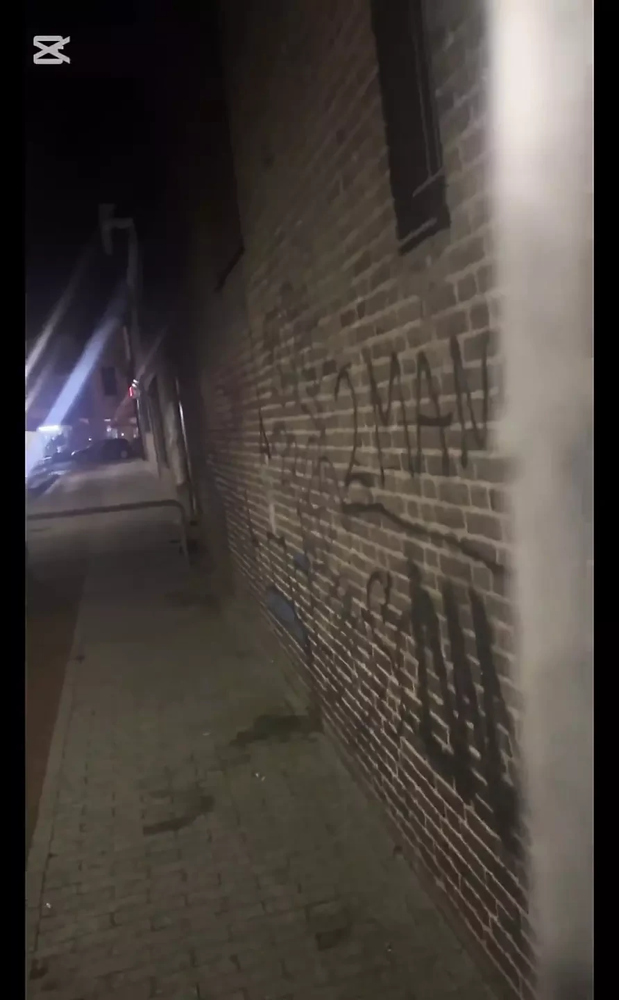 Public Dickflash Compilation