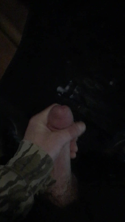 Nice nut