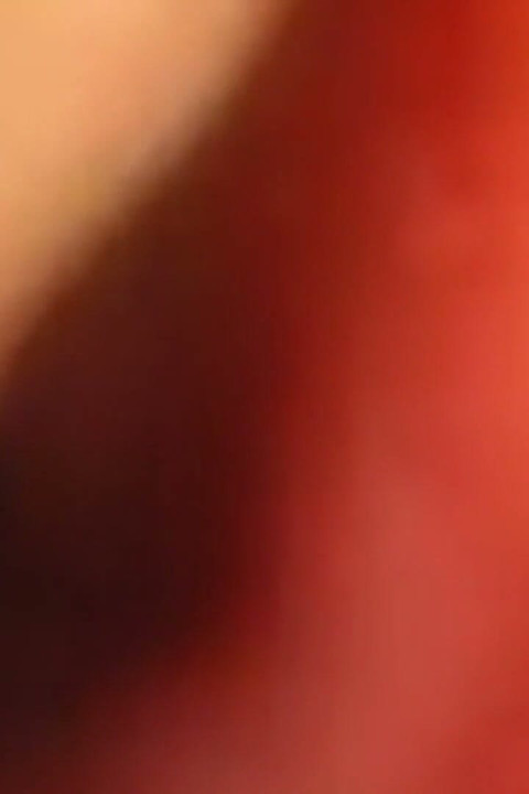 Inside Me the Journey of the Orange