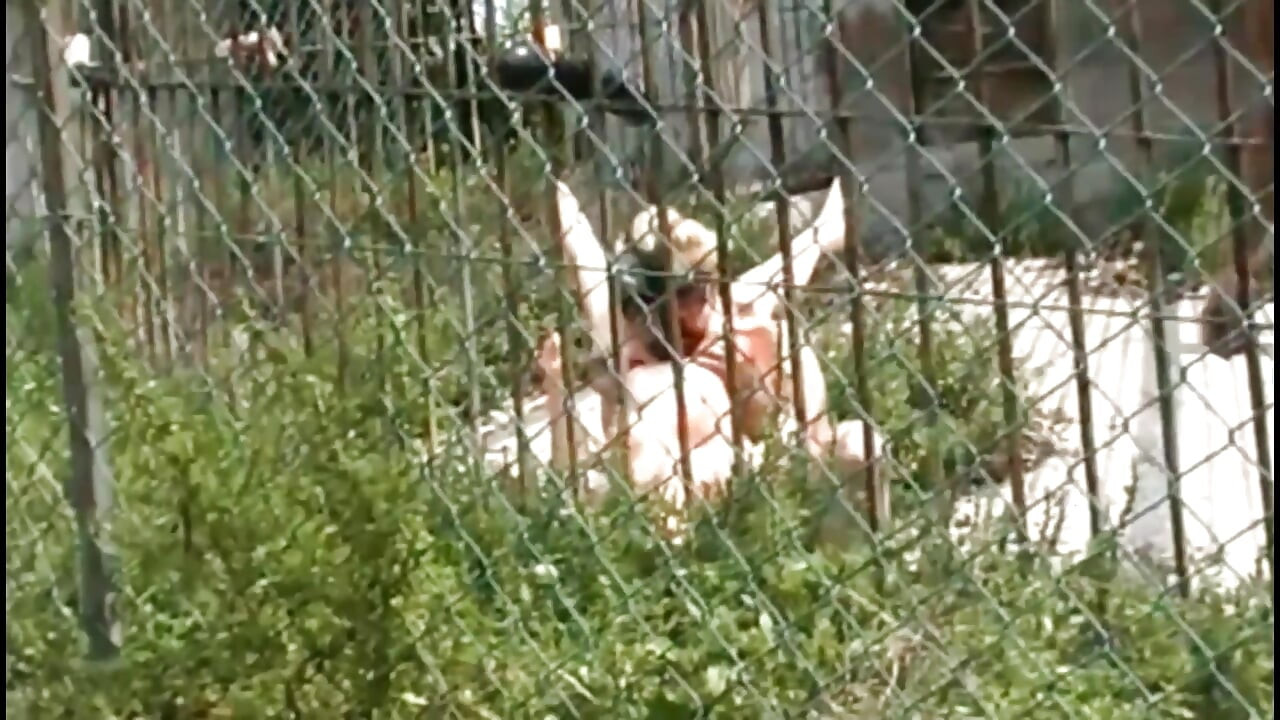 Kinky Neighbors: Pissing, Submission, Blowjobs, and Backyard Sex
