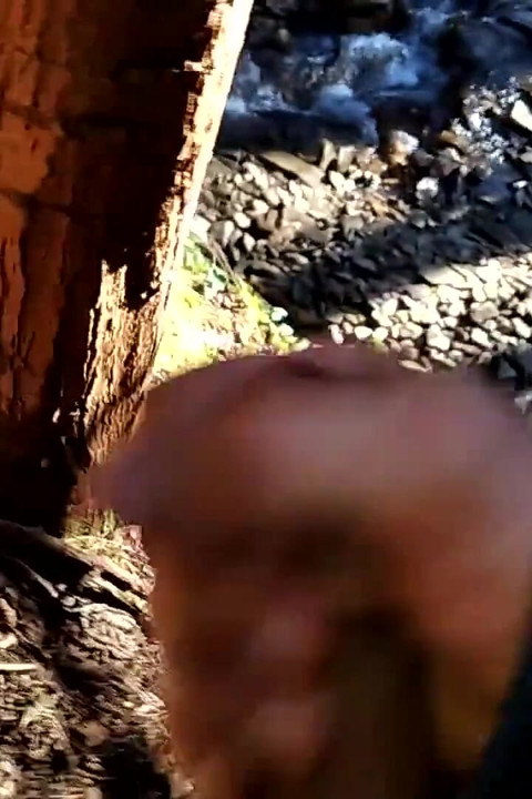 Dirty Handsome Boy Jerks His Delicious Big Cock in the Forest and the Tree Swallows His Cum