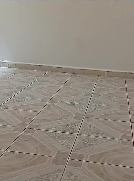 The Lady Who Cleans the House