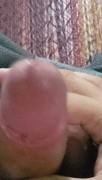 My cock wants ass wanting to fuck someone