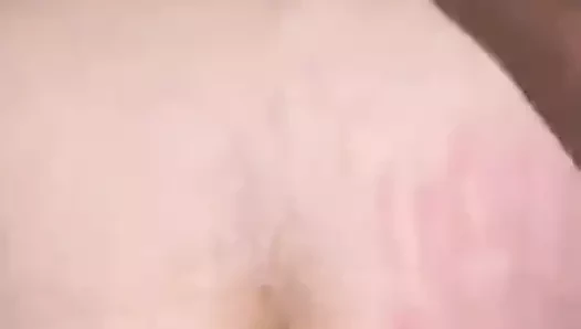 Siyah anonum