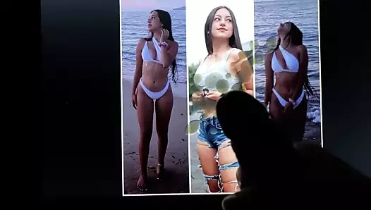 Shaula döl haraç 4