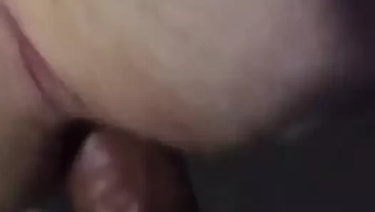 lanet bir ayı