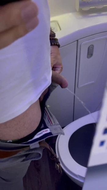 Plane piss