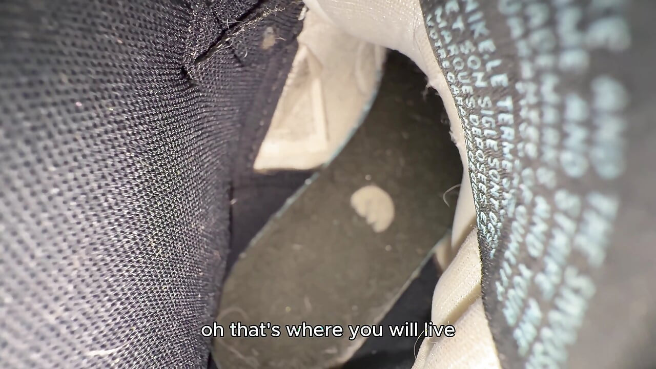 My Shoe Will Be Your House