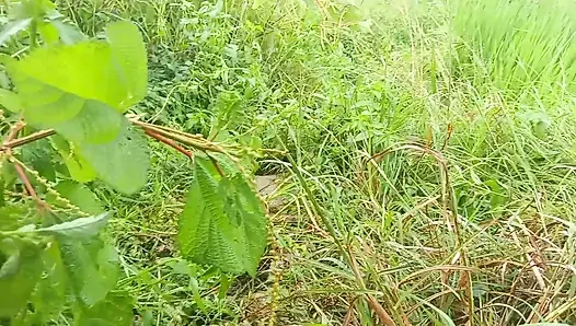 Nepali Jungle Vloge Sali Vena Sex Video