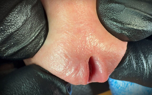 Pregled videozapisa