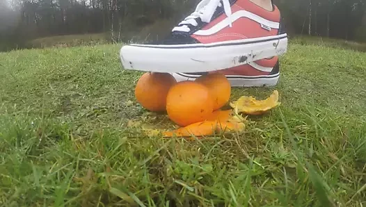 Vans food crush Orangen