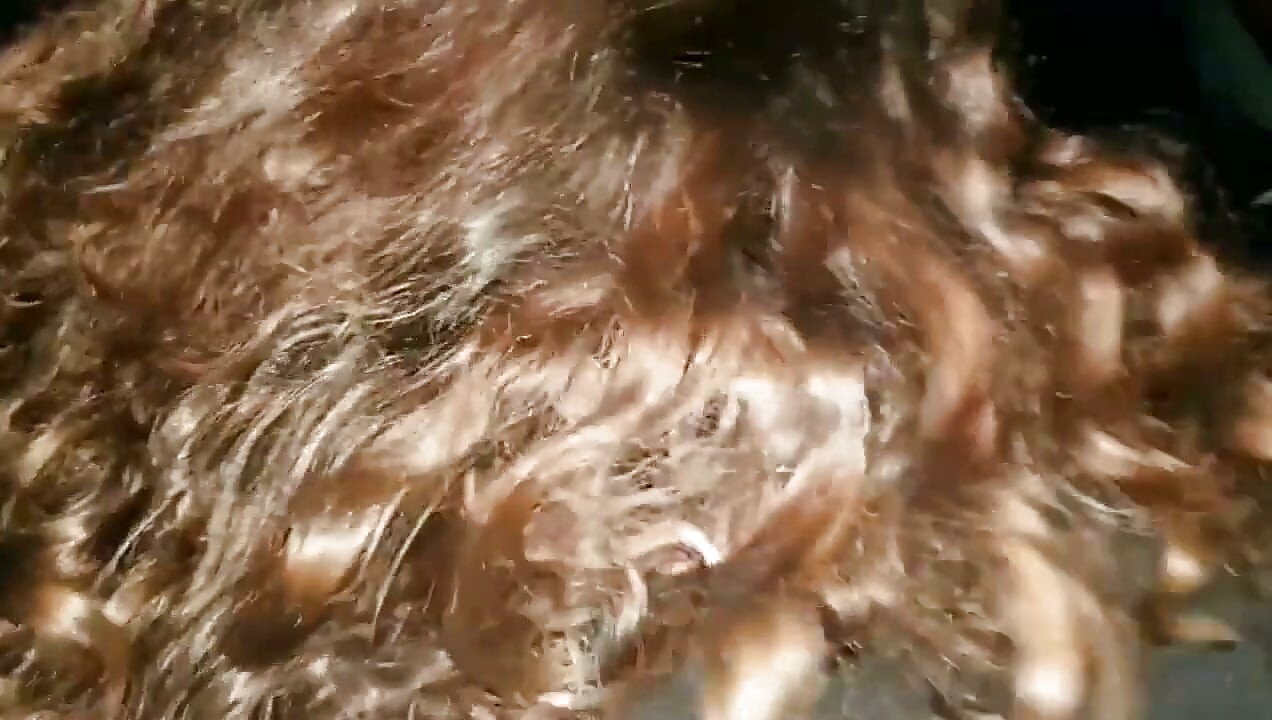 BBW BBC Outdoor Anal Doggy