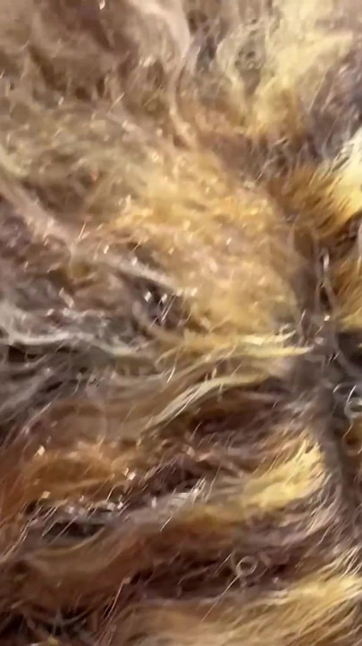 Angajata EBANO îi oferă șefului ei o muie bună pentru a-și păstra slujba | Clipul 1