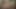BBWs have lesbo sex in shower