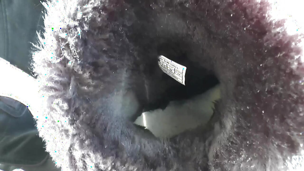 毛皮のブーツの足がとても臭いです!ブーツの匂いと足フェチのセックス、レディ・ヴィクトリア・ヴァレンテ