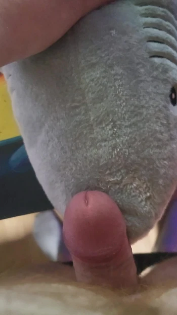 Cumming all over my plush shark