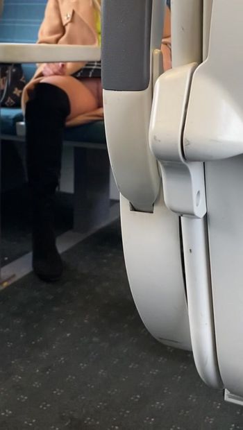 No Panties on Train