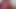 Caiu Na Net