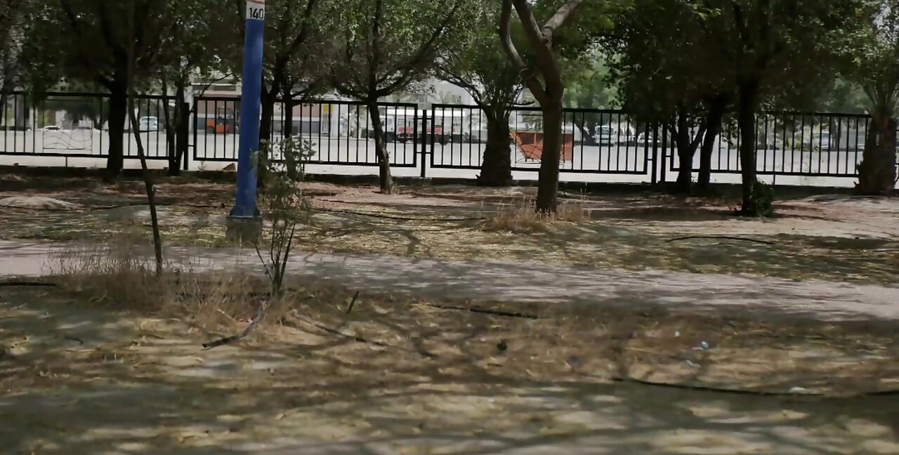 阿拉伯科威特暴露狂在公園全裸巡航
