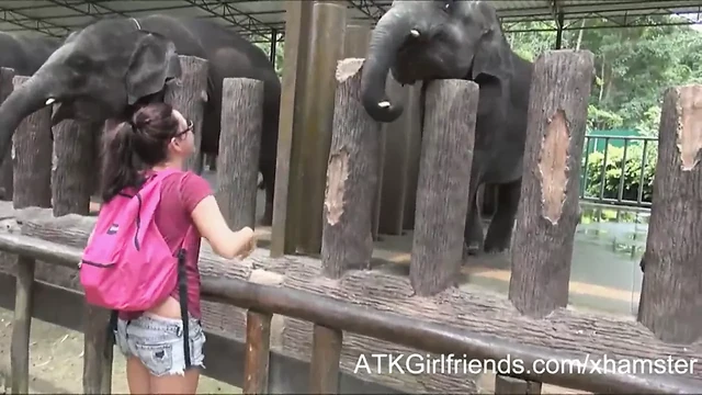 You cum on Hope Howell's glasses on vacation in Malaysia