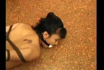 asian hogtied punish