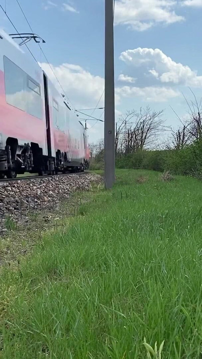 Dick flash train, risky masturbation | Clip 2