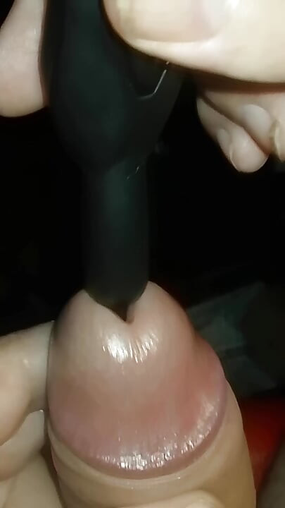 Vibrant Pleasure