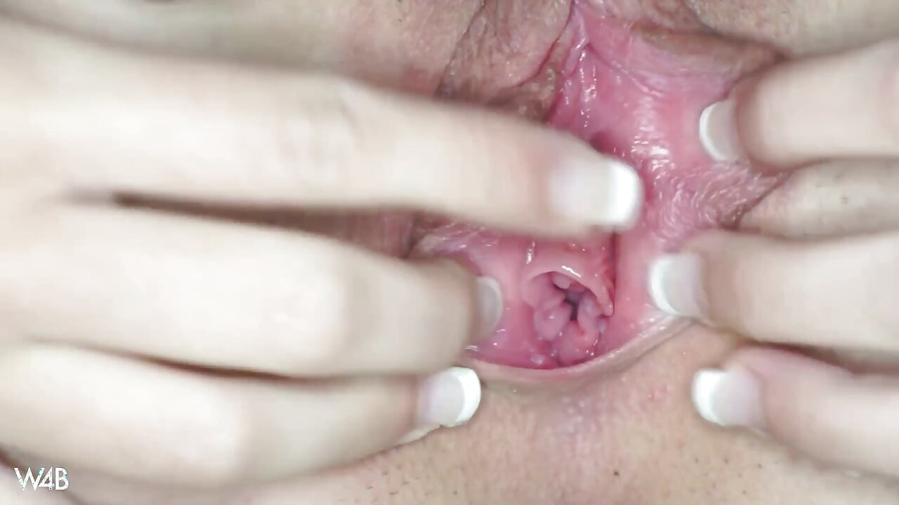 我們只是無法滿足安迪斯完美的剃光貓咪