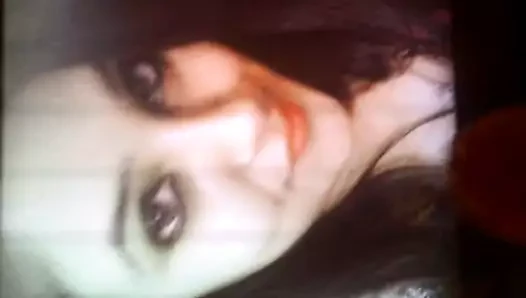 Slutysur için övgü