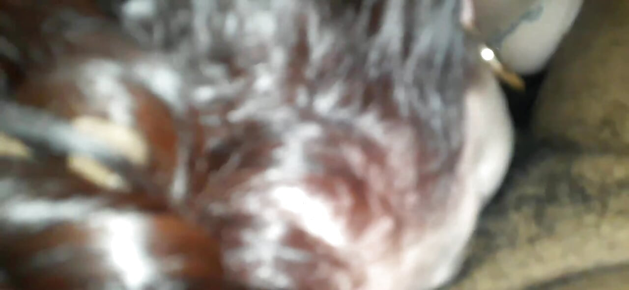 Dirty Cock Sucking