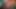 Thick Merida Fucks in the Forest (Animation With Sound)