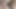 2 creampies ve 5 galon anal fışkırtma
