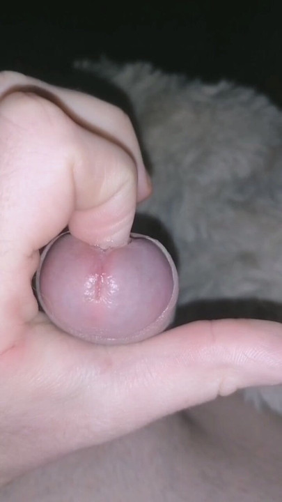 Um pequeno vislumbre do meu pau 3