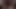Opus 11