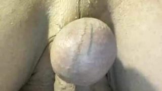 shaved pierced cock with buttplug in ass